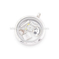 Cravates pour animaux de la mode pour Living Memory Glass Floating Lockets Pendant